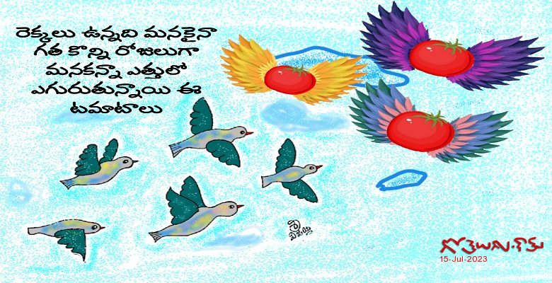 Flying టమాటా